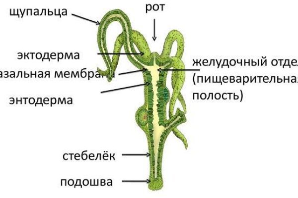 Запрещенный сайт кракен