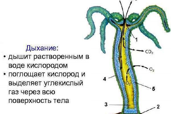 Кракен сайт kraken014 com